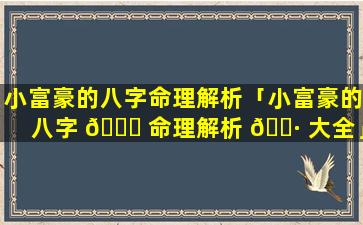 小富豪的八字命理解析「小富豪的八字 🍀 命理解析 🕷 大全」